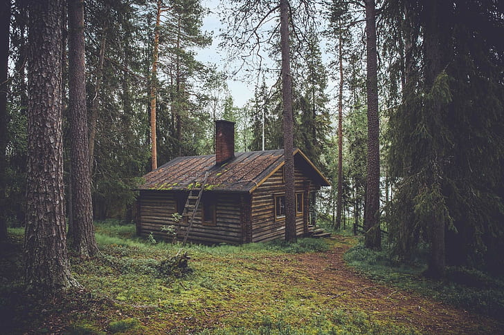 kabin, pohon pinus, atap rumah, pondok, kayu, hutan, nyaman, rumah, cerobong asap, Wallpaper HD