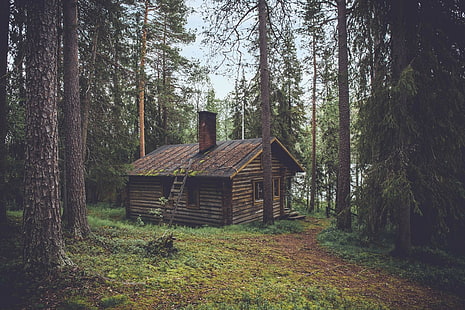 pondok, hutan, cerobong asap, pohon pinus, atap rumah, kayu, rumah, kabin, Wallpaper HD HD wallpaper