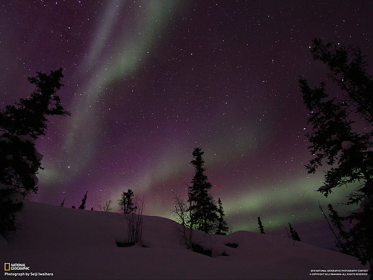 Aurora Borealis Northern Lights Stars HD, ธรรมชาติ, ดวงดาว, แสง, ออโรร่า, โบเรียลิส, ภาคเหนือ, วอลล์เปเปอร์ HD