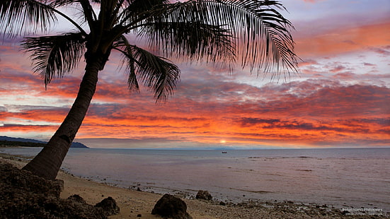 Wyspa Bohol, Filipiny, Wyspy, Tapety HD HD wallpaper