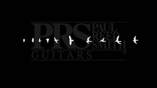 ilustracja latających ptaków, prs, muzyka, gitara, Tapety HD HD wallpaper