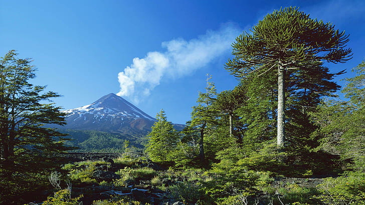 Вулкан Llaima, Чили, зелено дърво, природа, 1920x1080, вулкан, Чили, Южна Америка, Llaima, HD тапет