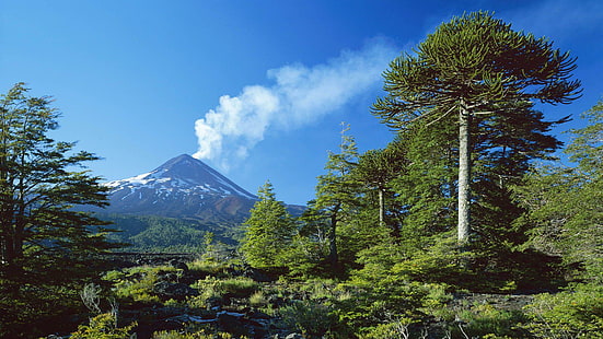 Llaima volcano, Chile, green tree lot, nature, 1920x1080, volcano, chile, south america, llaima, HD wallpaper HD wallpaper