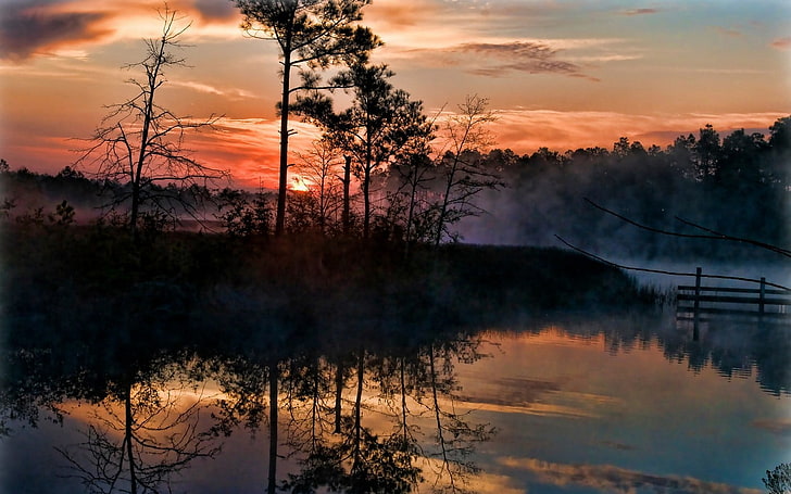 braune und schwarze Baummalerei, Nebel, Bäume, Sumpf, Reflexion, Natur, Landschaft, Florida, Himmel, Wolken, Wasser, HD-Hintergrundbild