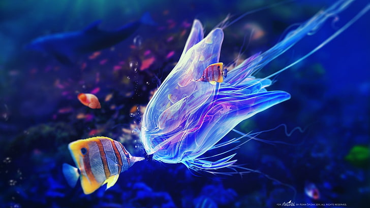 yellow fish and jelly fish, fantasy art, digital art, underwater, bubbles, Adam Spizak, fish, sea, kissing, HD wallpaper