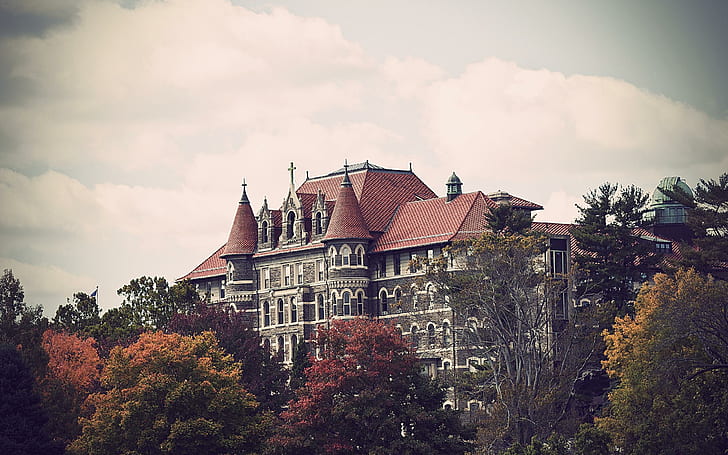 Chestnuthill College, college, architecture, building, fall, colors, animals, HD wallpaper