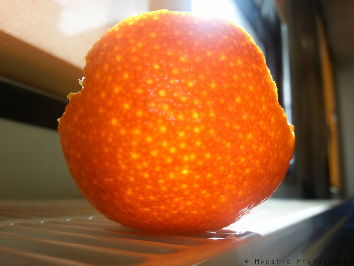 vaso cerâmico de bolinhas vermelhas e brancas, natureza, laranja (fruta), HD papel de parede