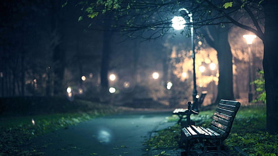 lonely, bench, streetlight, park, dusk, night, street light, tree, HD wallpaper HD wallpaper