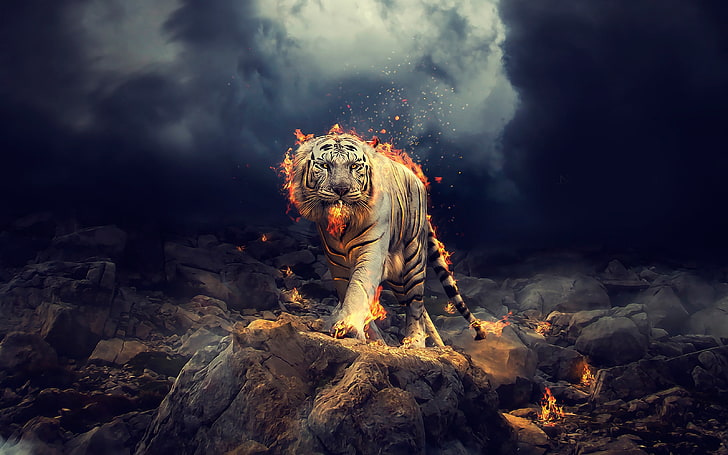 white tiger, fire, rocks, walking, majestic, clouds, design, Fantasy, HD wallpaper