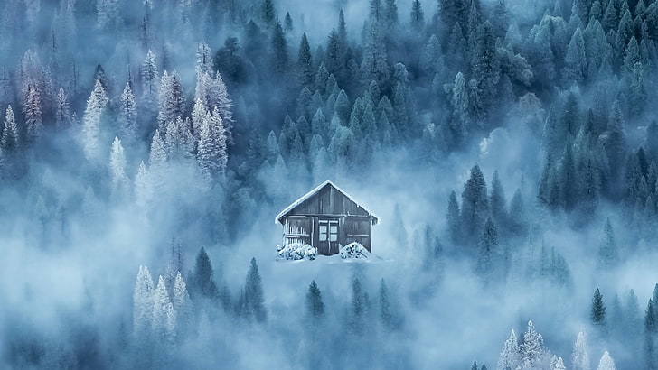 cabin, house, lone, wintertime, winter, forest, fog, HD wallpaper