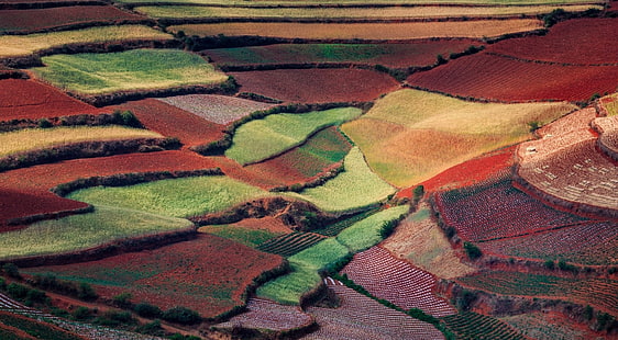 Erde, Feld, China, Dongchuan, Yunnan, HD-Hintergrundbild HD wallpaper