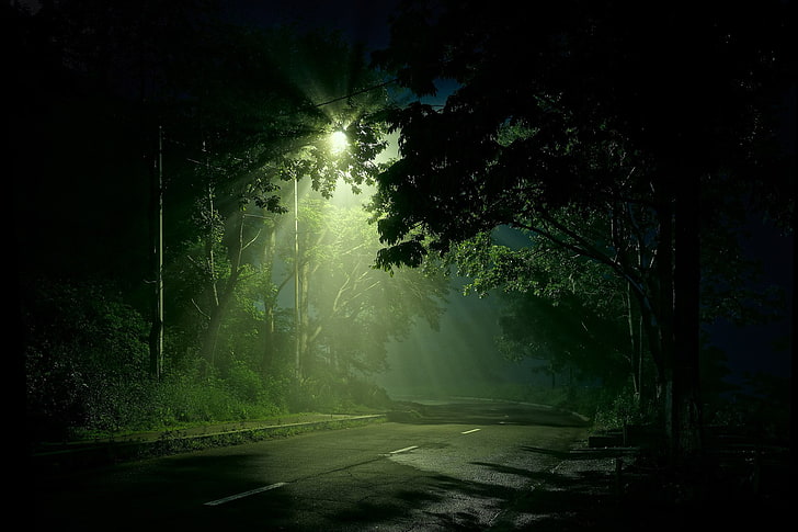 Man Made, Road, Dark, Forest, Green, Light, Street Light, HD wallpaper