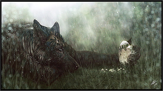 ภาพประกอบหมาป่าสีดำขนยาว Anthro ความรักเศร้าน้ำตา, วอลล์เปเปอร์ HD HD wallpaper
