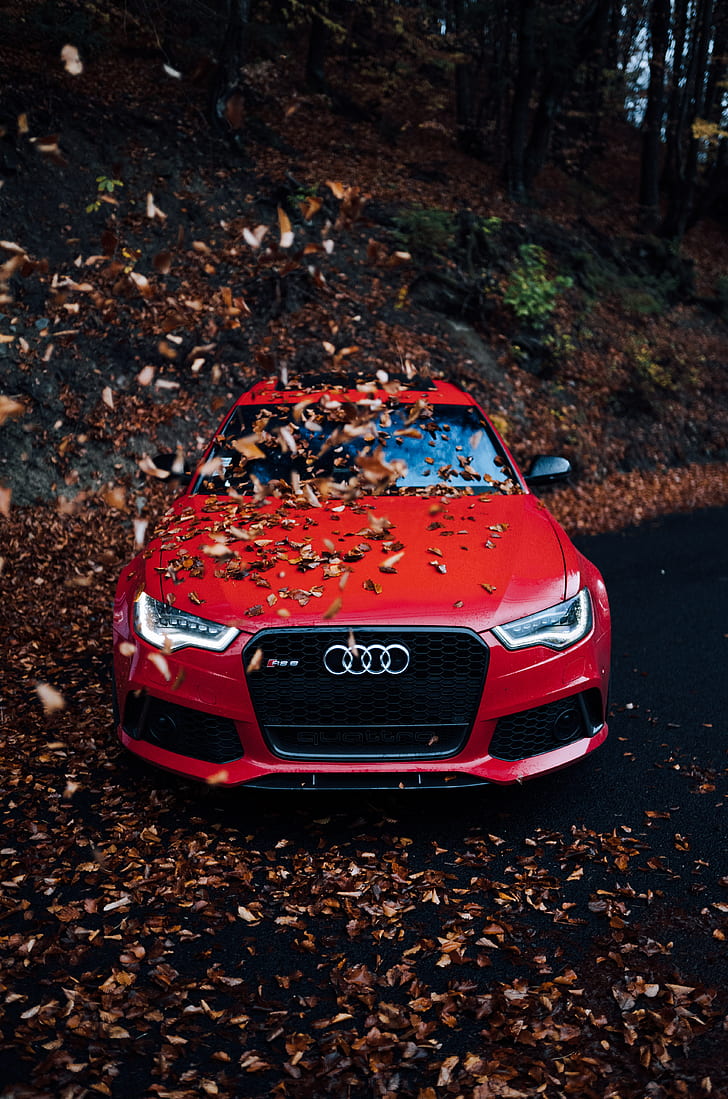 audi, mobil, tampilan depan, merah, bumper, dedaunan, musim gugur, Wallpaper HD, wallpaper seluler