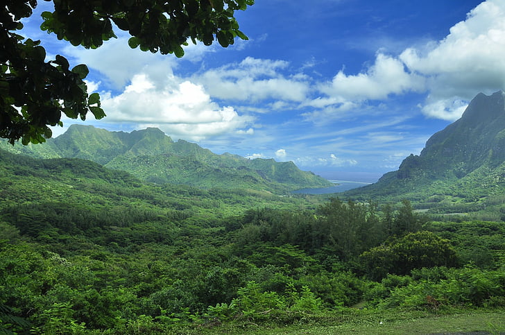 Terre, Paysage, Polynésie française, Île, Moorea, Tahiti, Tropiques, Fond d'écran HD