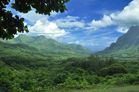 Terra, Paisagem, Polinésia Francesa, Ilha, Moorea, Tahiti, Trópicos, HD papel de parede HD wallpaper