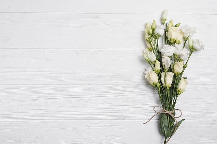 Blommor, bukett, vit bakgrund, Eustoma, HD tapet