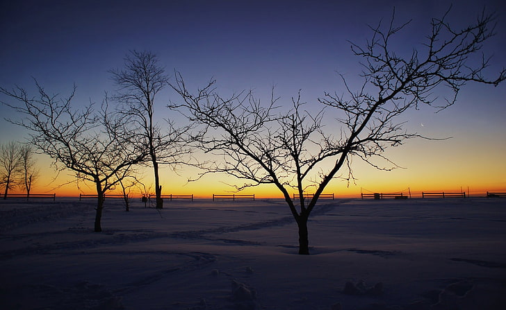fotografía, invierno, nieve, paisaje, árboles, naturaleza, Fondo de pantalla HD