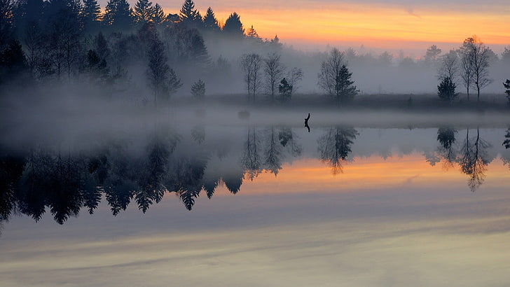 пейзажна фотография на дървета с мъгла, пейзаж, изгрев, отражение, езеро, мъгла, природа, HD тапет