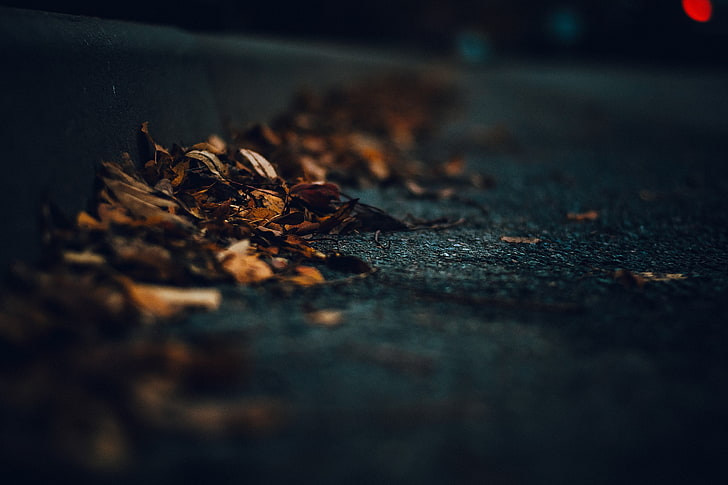 feuilles brunes, photographie de mise au point peu profonde de feuilles brunes, macro, route, feuilles, sombre, Fond d'écran HD