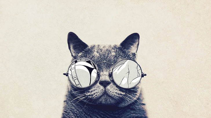 short-fur black and gray cat, cat, glasses, animals, HD wallpaper