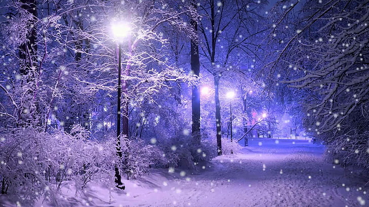 lampu jalan, salju, turun salju, musim dingin, taman, alam, pembekuan, pohon, malam, langit, embun beku, cabang, cahaya, seni, malam, hutan, Wallpaper HD