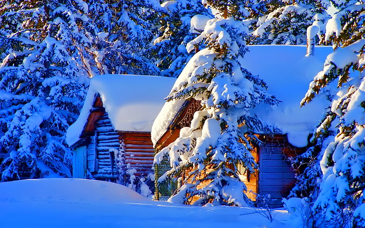 winter, snow, nature, house, trees, forest, landscape, HD wallpaper