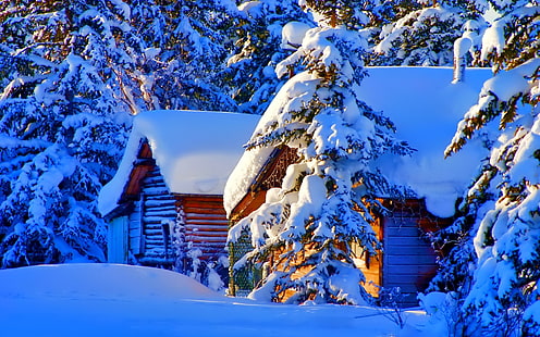 winterlicher, schnee, beschaffenheit, haus, bäume, wald, landschaft, HD-Hintergrundbild HD wallpaper