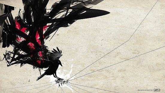 corvo, astratto, uccelli, animali, Tokyo Ravens, arte digitale, sfondo semplice, Sfondo HD HD wallpaper