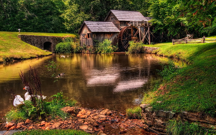 casa de madera marrón con rueda de agua, estanque, gansos, cabañas, molino, rueda, verano, Fondo de pantalla HD