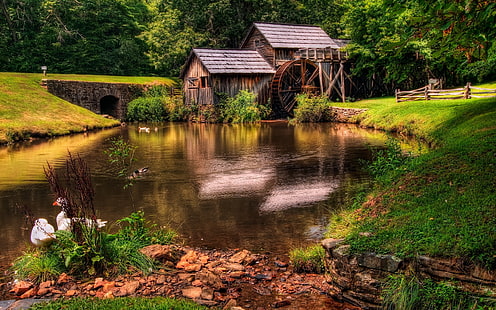 brown wooden house with water wheel, pond, geese, lodges, mill, wheel, summer, HD wallpaper HD wallpaper