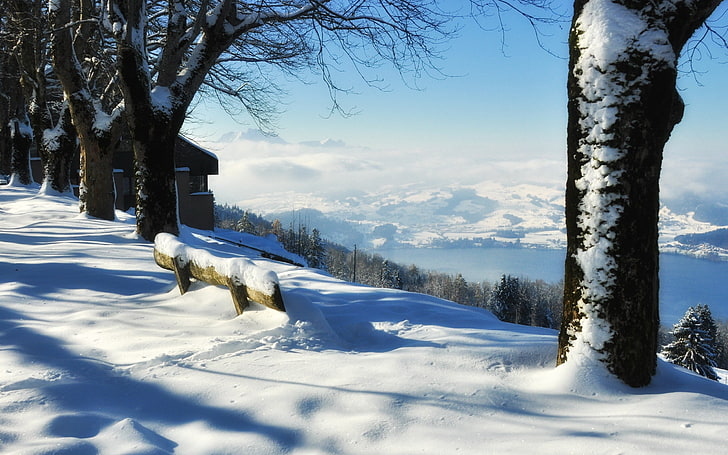 nieve, invierno, naturaleza, Fondo de pantalla HD