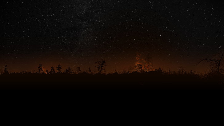 تصوير صورة ظلية شجرة ، الليل ، صورة ظلية، خلفية HD