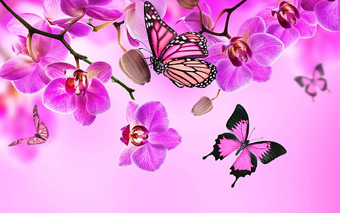 Orchid Butterflies Pink Color Flowers 2560×1600, HD wallpaper HD wallpaper