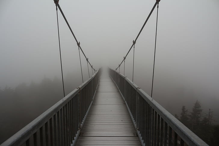 ponte, névoa, HD papel de parede