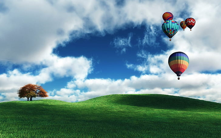 Beautiful Balloons, view, hor air balloons, grass, beautiful, trees, field, peaceful, splendor, balloon, blue, clouds, HD wallpaper