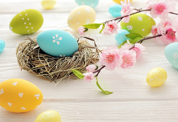 flowers, eggs, Easter, socket, spring, HD wallpaper