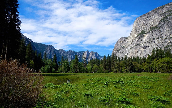 природа, пейзаж, национален парк Йосемити, долината Йосемити, скала, планини, HD тапет