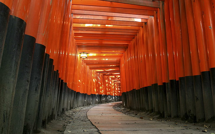 Architettura giapponese Torii Santuario giapponese di Fushimi Inari, architettura, fushimi, inari, Giappone, giapponese, santuario, torii, Sfondo HD