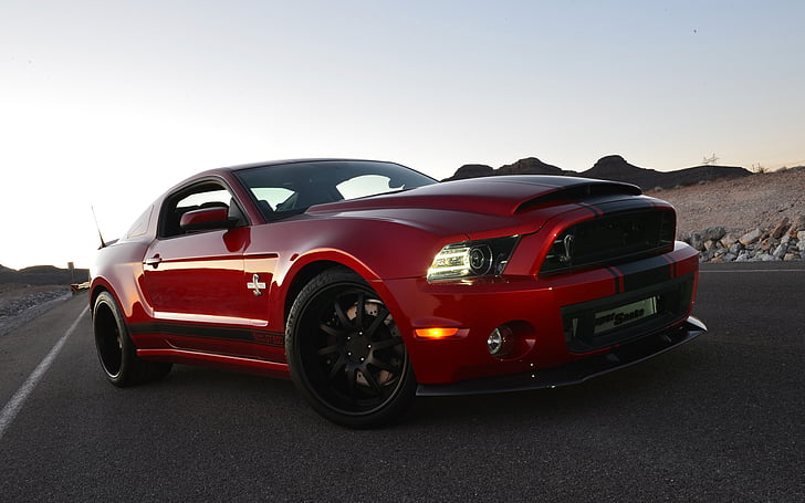 2013, ford, gt500, muscle, mustang, shelby, snake, super, supercar, Sfondo HD
