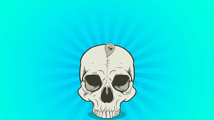 illustration d'art blanc crâne humain, crâne, balle, ligne, calendrier, Fond d'écran HD