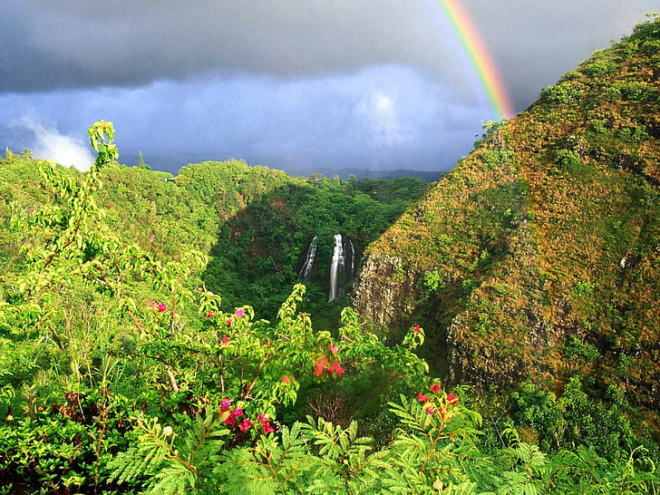 paisagem, arco-íris, região selvagem, colinas, cachoeira, HD papel de parede
