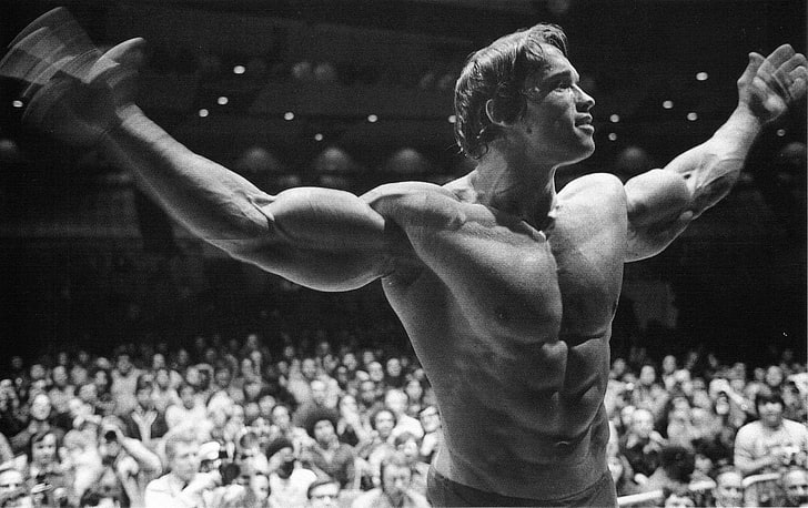 męskie topless zdjęcie w skali szarości, Arnold Schwarzenegger, kulturystyka, kulturysta, trening, ćwiczenia, mięśnie, Tapety HD