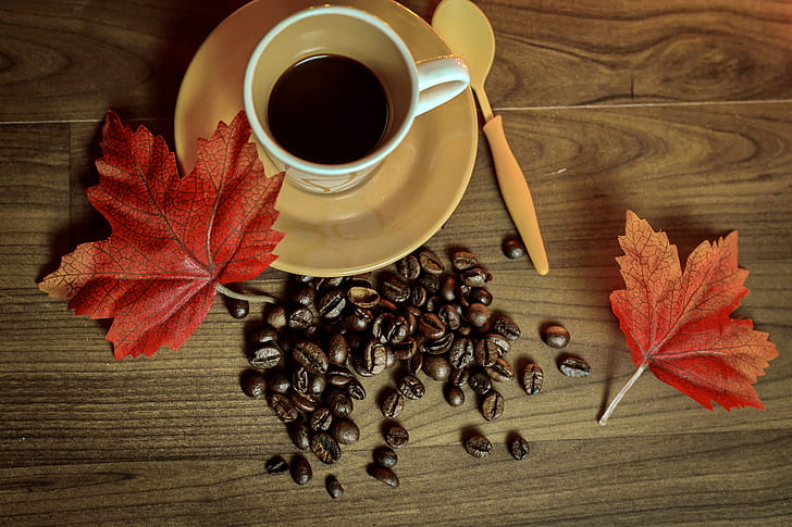 jesień, kawa, filiżanka, książka, liście, fasola, Tapety HD