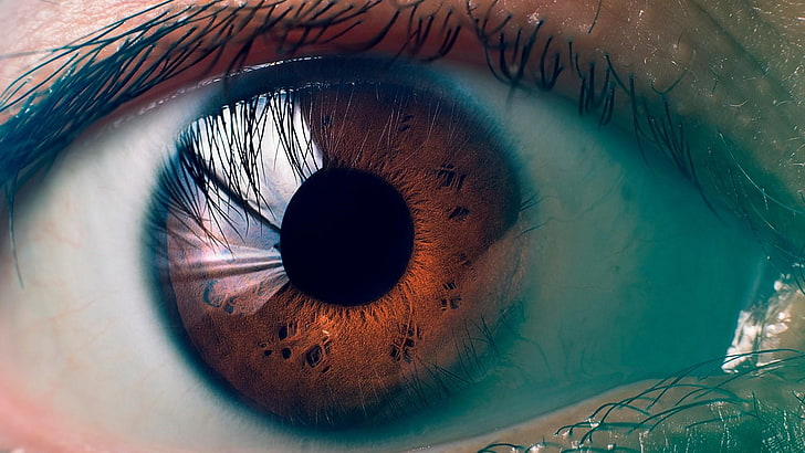 retina, eye, eyebrow, eyelash, close up, macro photography, iris, HD wallpaper