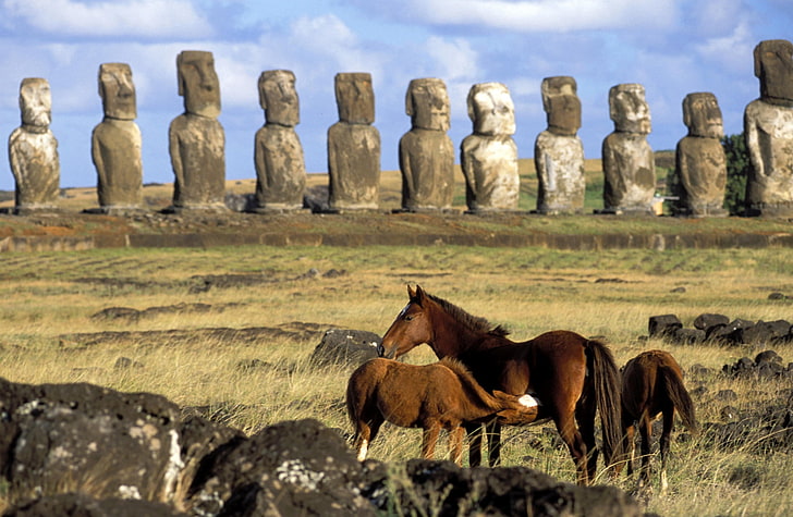 Konie Wyspy Wielkanocnej Chile, dwa brązowe konie, Zwierzęta, Konie, Wyspa, Wielkanoc, Chile, Tapety HD