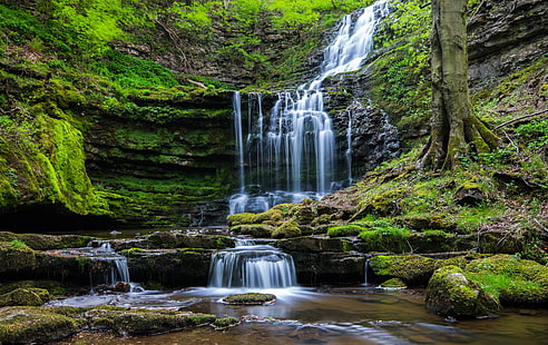Wasserfall, Natur, Wald, HD-Hintergrundbild HD wallpaper