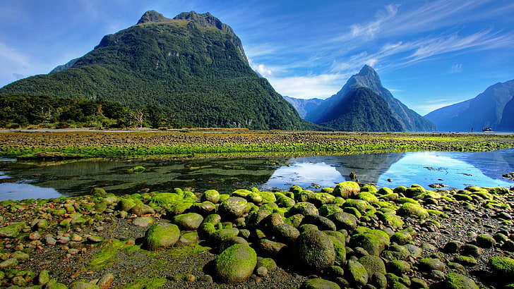 mossig, milford sound, bank, sten, landskap, fjord, nationalpark, himmel, vatten, Nya Zeeland, reflektion, bergiga landformer, mossa, berg, bergslandskap, vildmark, Fiordland National Park, natur, HD tapet
