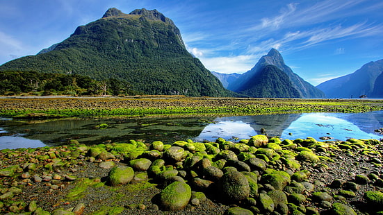 mossig, milford sound, bank, sten, landskap, fjord, nationalpark, himmel, vatten, Nya Zeeland, reflektion, bergiga landformer, mossa, berg, bergslandskap, vildmark, Fiordland National Park, natur, HD tapet HD wallpaper