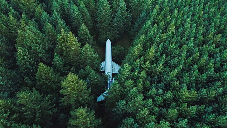 white passenger plane surrounded by green trees, white passenger plane surrounded by green trees, nature, landscape, trees, forest, wreck, aerial view, airplane, pine trees, aircraft, bird's eye view, HD wallpaper